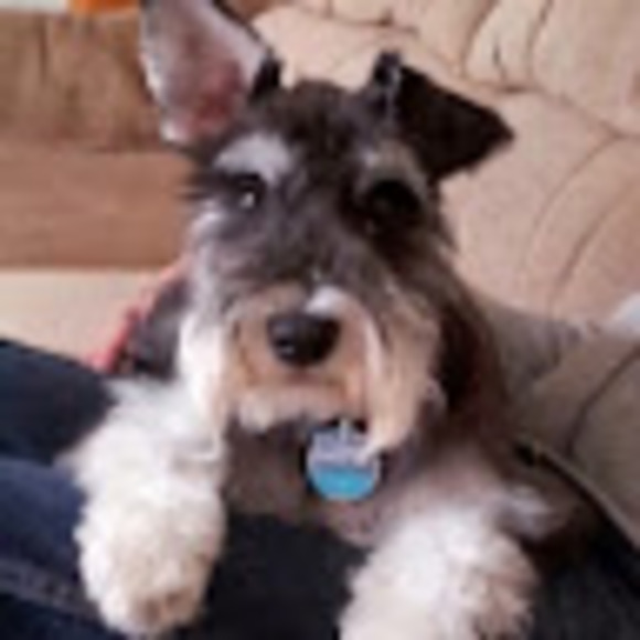 Meet your Posher, Tracey - Picture 1 of 1